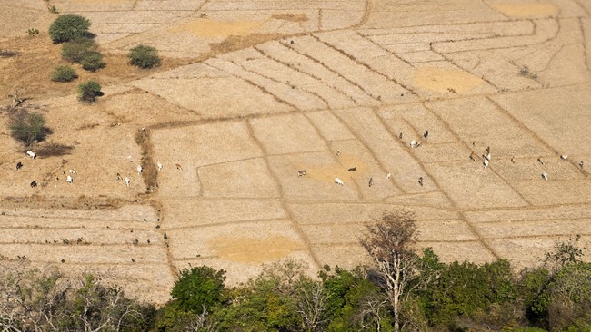 Gara-gara El Nino, 10 Daerah Berikut ‘Lupa’ dengan Ademnya Hujan