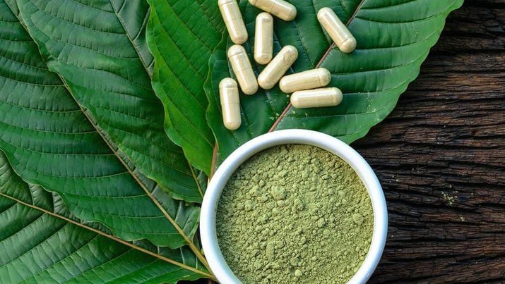 Dunia Rebutan Kratom, ‘Narkotika’ Baru Asal RI Laku Miliaran