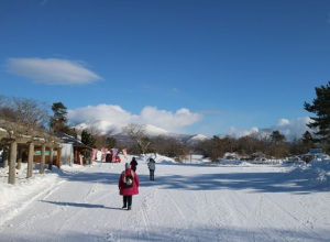 Tiket Pesawat Jakarta Ke Jepang Untuk Menikmati Musim Dingin